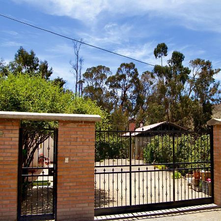 Hostal Vientos Del Altiplano 普特雷 外观 照片
