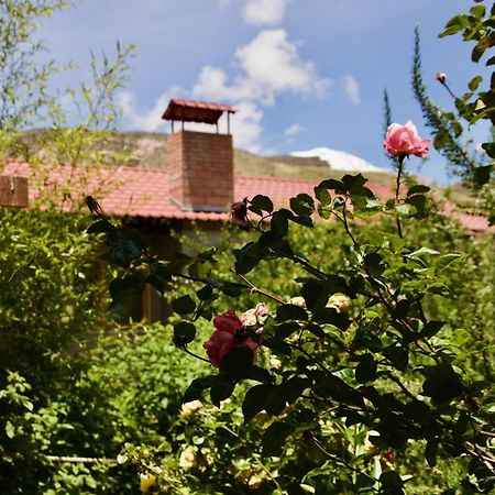 Hostal Vientos Del Altiplano 普特雷 外观 照片