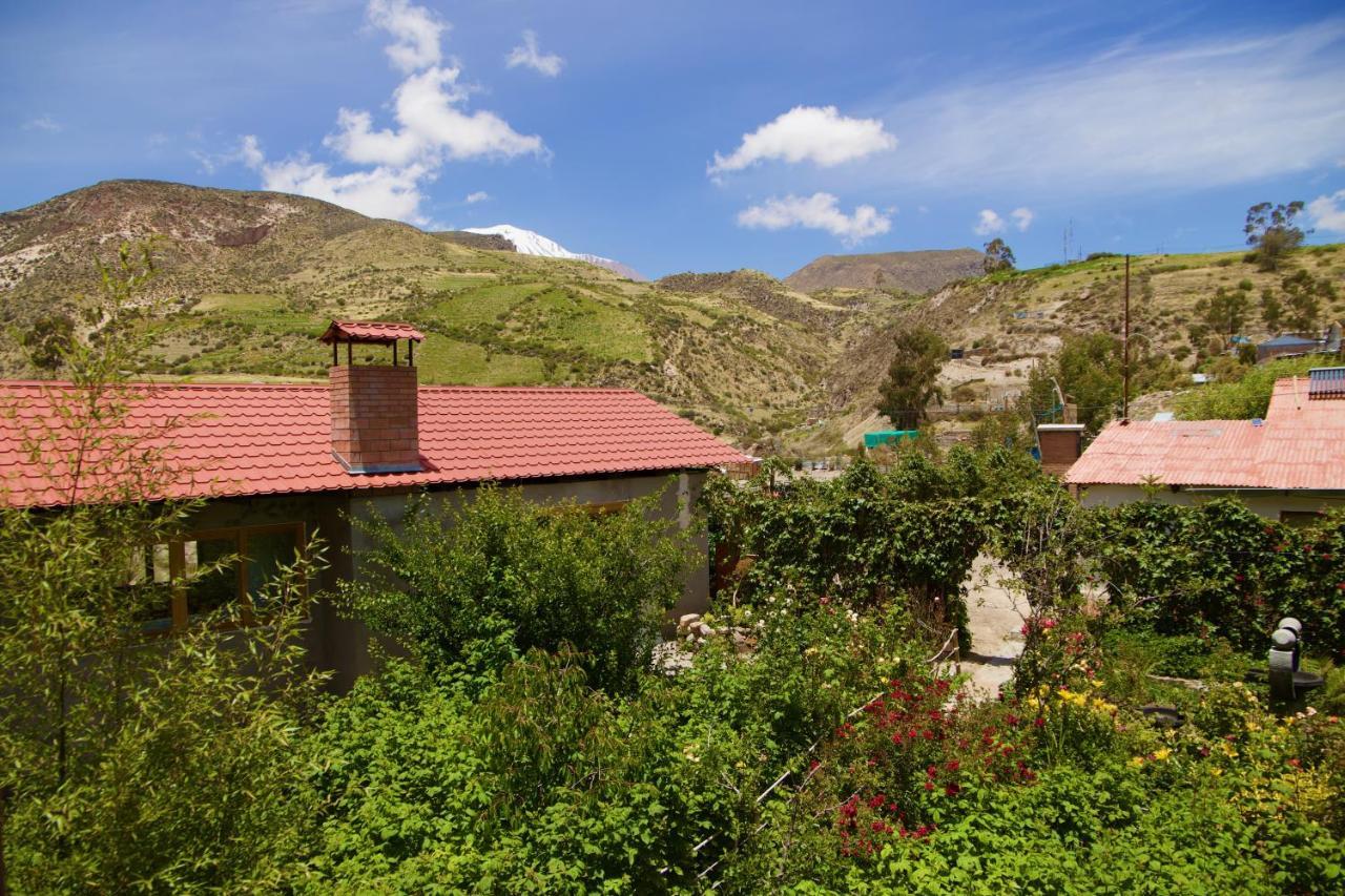 Hostal Vientos Del Altiplano 普特雷 外观 照片