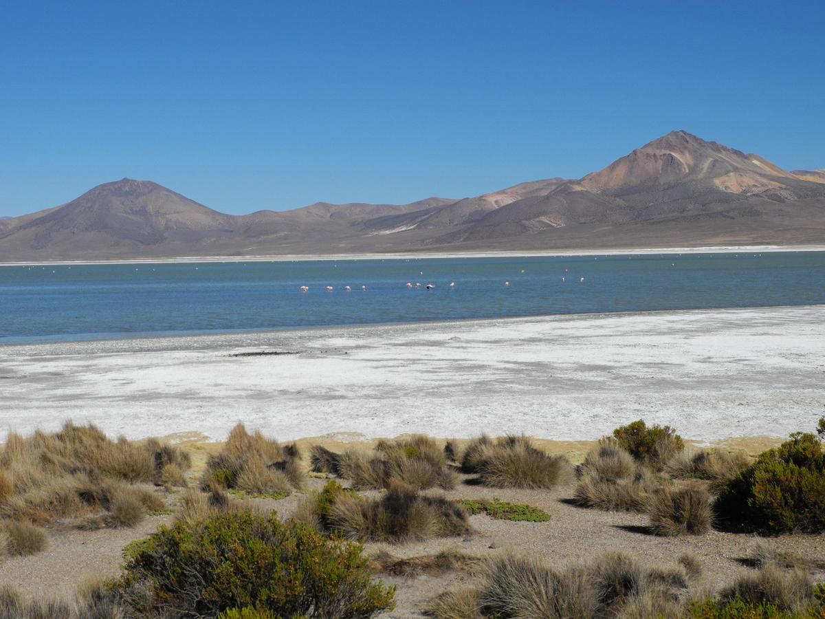 Hostal Vientos Del Altiplano 普特雷 外观 照片