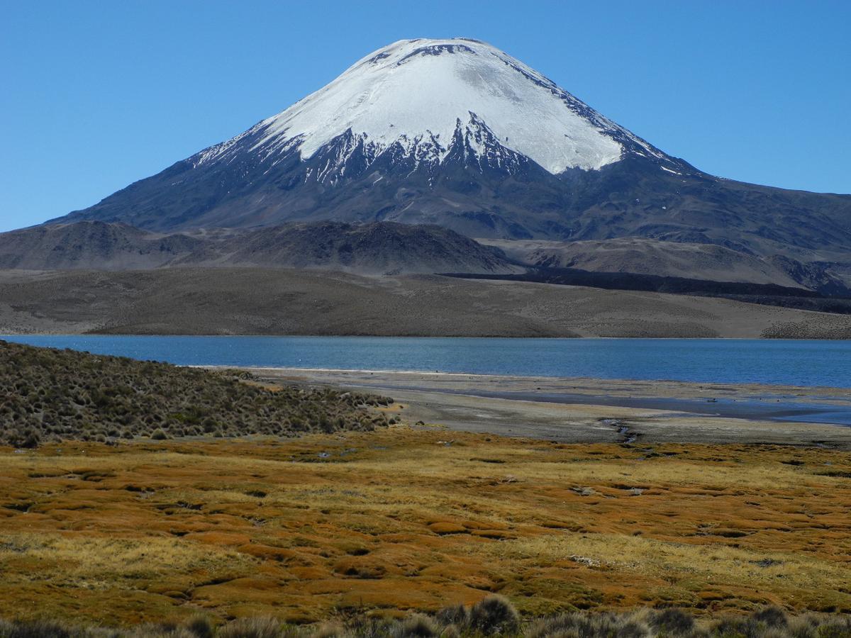 Hostal Vientos Del Altiplano 普特雷 外观 照片
